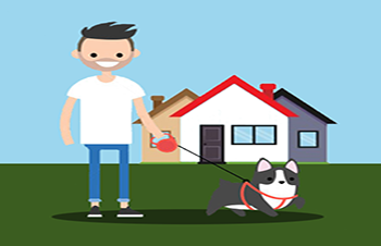 Saiba mais sobre a probição de animais em locação residencial